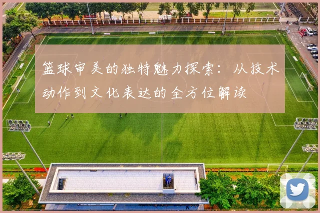 篮球审美的独特魅力探索：从技术动作到文化表达的全方位解读