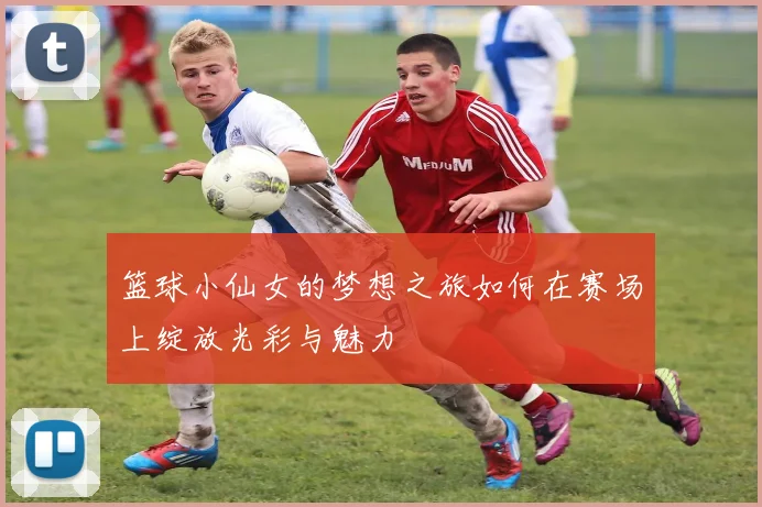 篮球小仙女的梦想之旅如何在赛场上绽放光彩与魅力