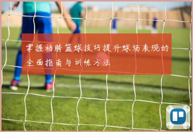 掌握裆胯篮球技巧提升球场表现的全面指南与训练方法