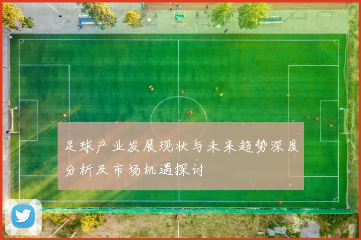 足球产业发展现状与未来趋势深度分析及市场机遇探讨