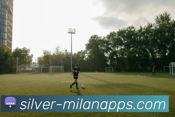 米兰体育平台生态图